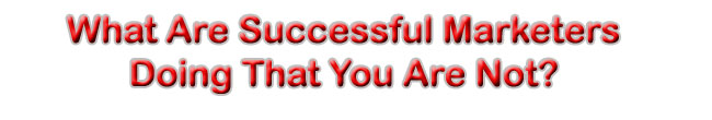 What Are Successful Marketers Doing?